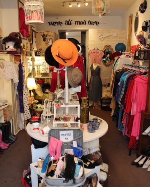 Inside What Alice Found, owned by Nicki Grainger