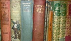 A yearly event organised by UNESCO promotes reading, publishing and copyright.  First celebrated on 23 April this date also linked to the Catalonian festival, the anniversary of the birth and death of William Shakespeare, the death of Miguel de Cervantes, and Josep Pla along with many others.