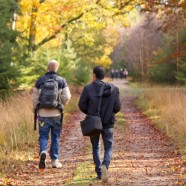 Autumn Season in New Forest
