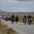 Falklands