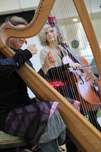 Harp Nouveau