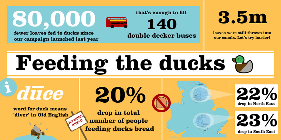 The new data shows a 20% drop in the number of people feeding ducks bread – over 80,000 fewer loaves each year (From Canal and River Trust)