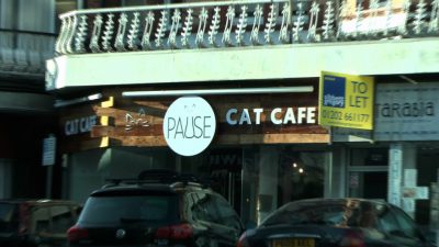 A photo of Pause Cat Café banner