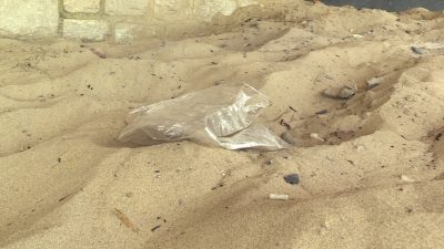 A plastic bag on the beach