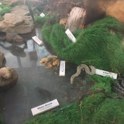 Still photo of BNSS exhibit