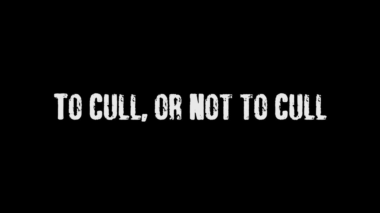 to cull or not cull