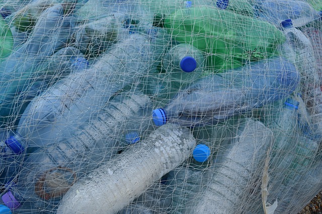 plastic bottles in fishing net