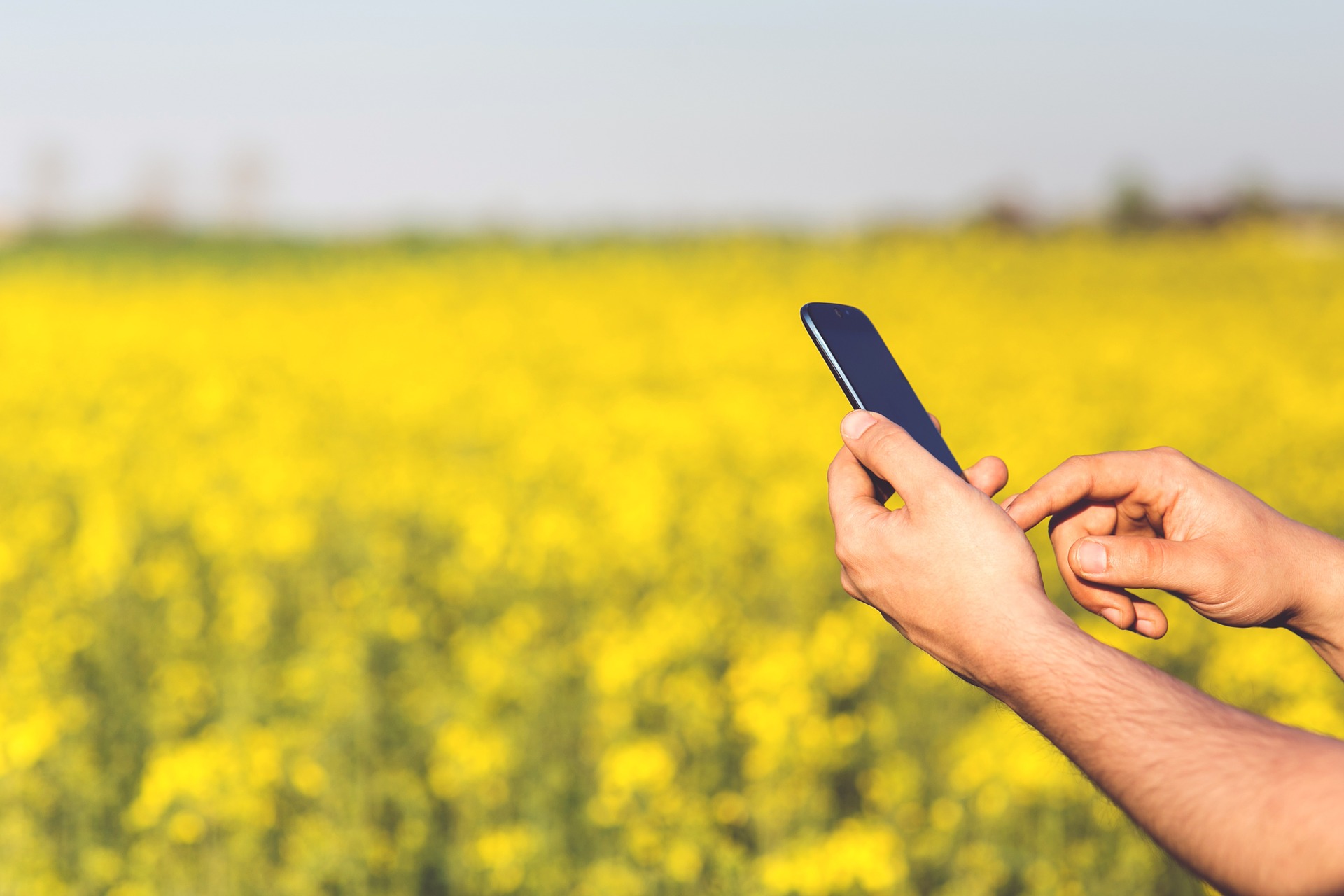 smartphone in field