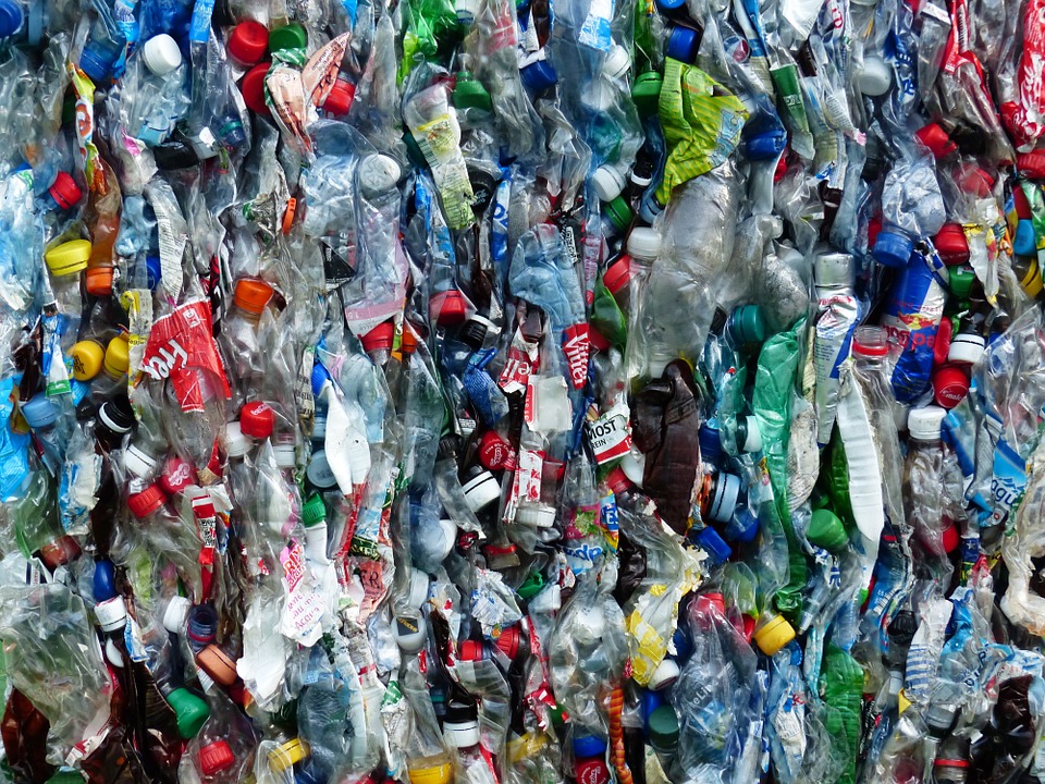 Photograph of a wall of empty plastic bottles