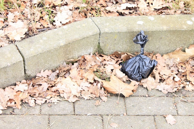 A dog poo bag