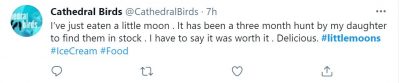 Cathedral Birds Twitter response on TikTok trend.