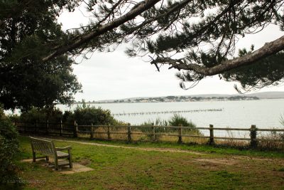 A picture of a view at Evening Hill beauty spot, including a bench overlooking Poole Bay, which disabled residents say is now too difficult to access