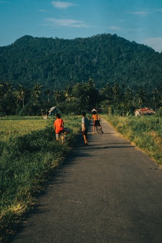 Indonesia forest