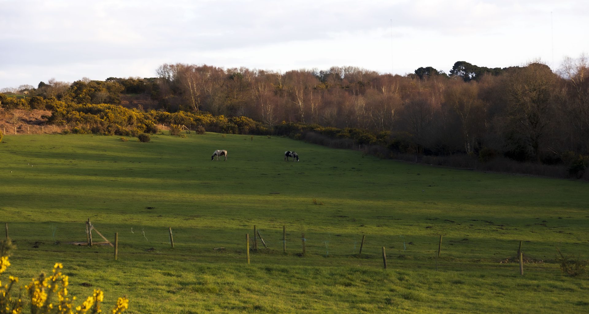 A view of Highmoor Farm