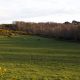 A view of Highmoor Farm